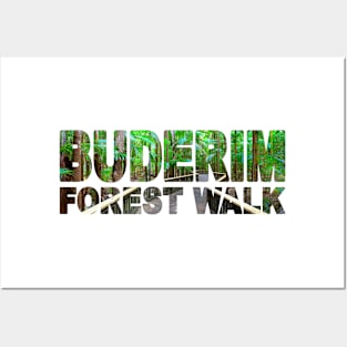 BUDERIM Forest Walk - Sunshine Coast Australia Posters and Art